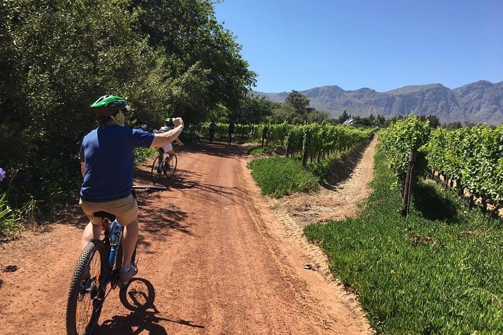 Franschhoek Cycle & Tasting Experience 4hr (Shared) - Photo 1 of 14